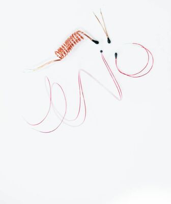 Θερμοστήρας NTC επικαλυμμένος με επικάλυψη με επικάλυψη με καλώδια μολύβδου για ψηφιακά θερμόμετρα